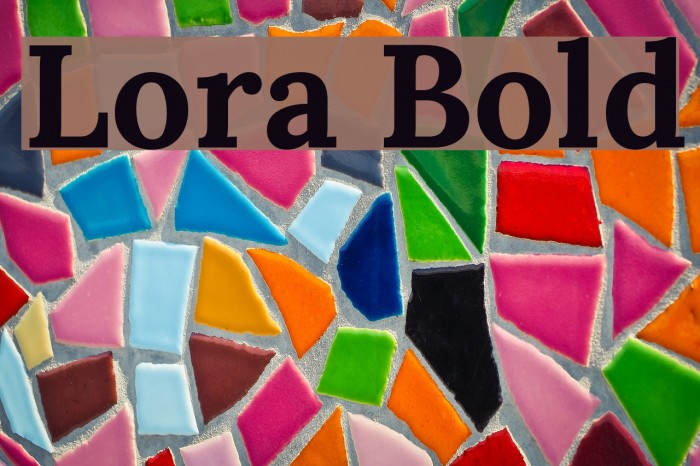 Lora Bold Font examples