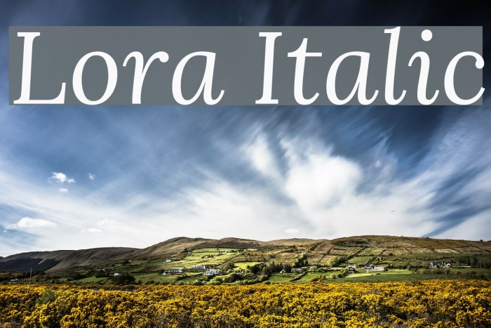 Lora Italic Font examples