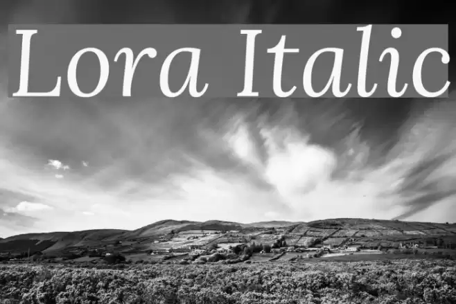Lora Italic Font examples
