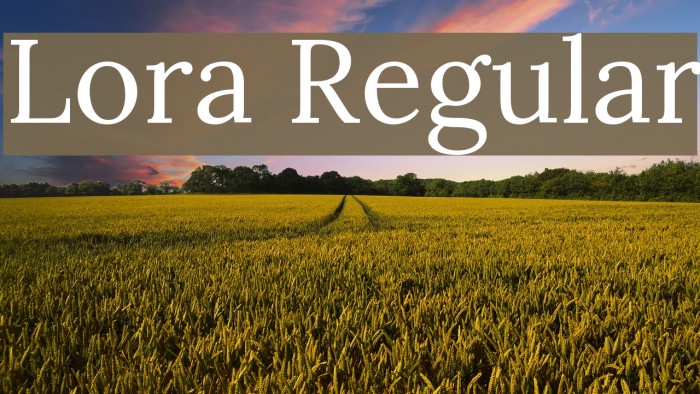 Lora Regular Font examples
