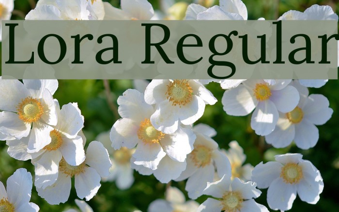 Lora Regular Font examples