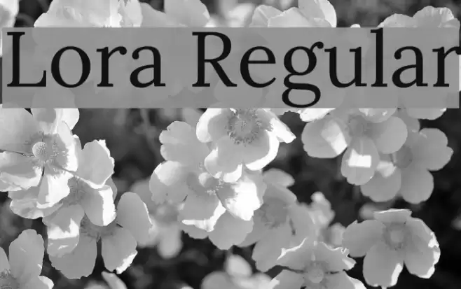 Lora Regular examples