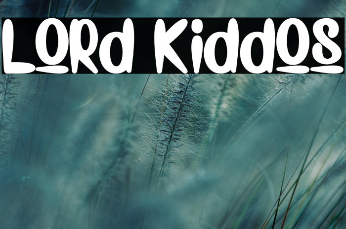 Lord Kiddos Example 3