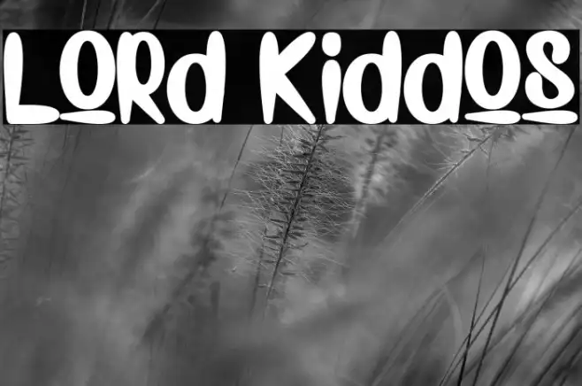 Lord Kiddos Example 3