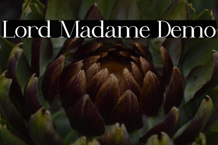 Lord Madame Demo Example 3