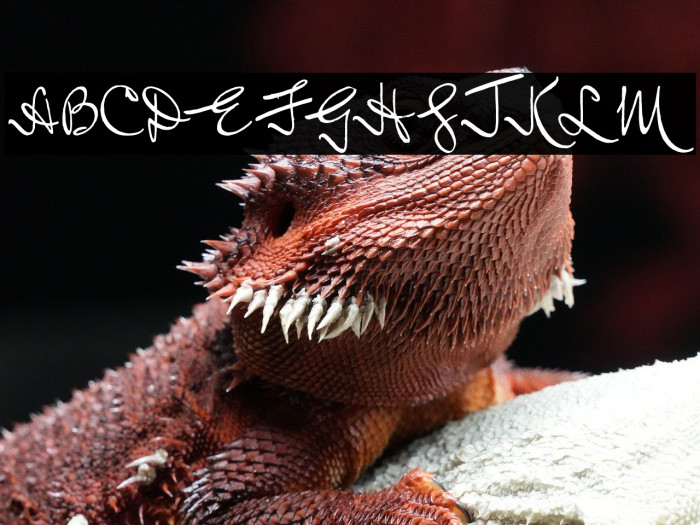 Lord Radcliff Regular Example 3