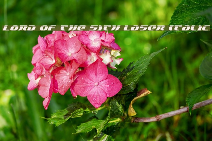 Lord of the Sith Laser Italic Example 2