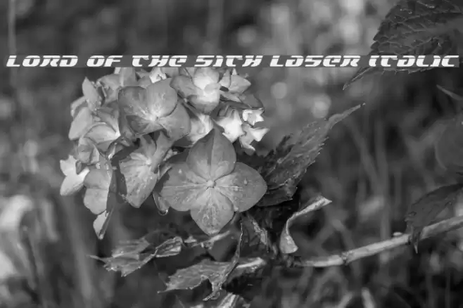 Lord of the Sith Laser Italic Font examples