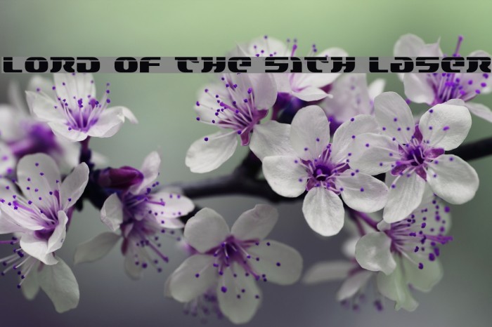 Lord of the Sith Laser Font examples