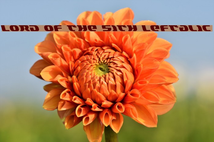 Lord of the Sith Leftalic Font examples