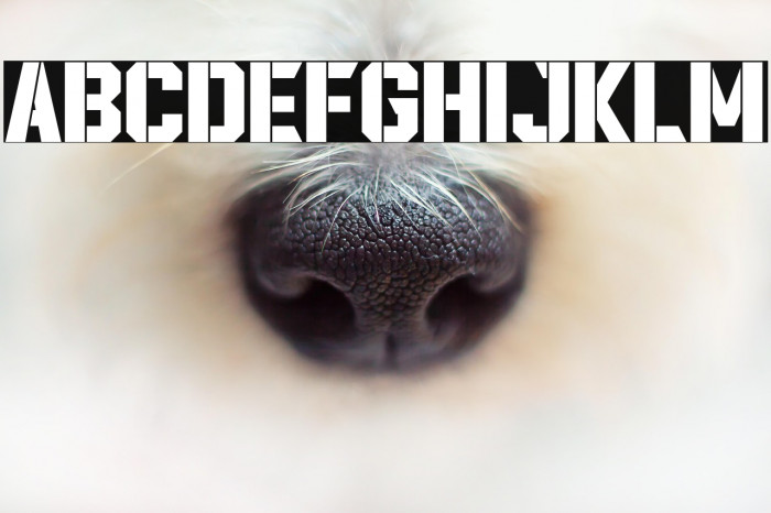 Lordcorps Stencil Example 2