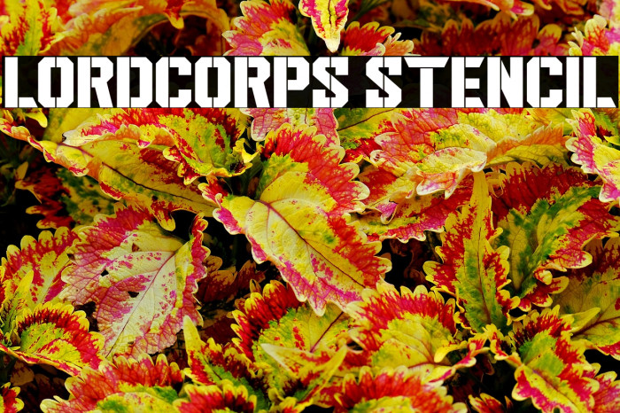 Lordcorps Stencil Example 1