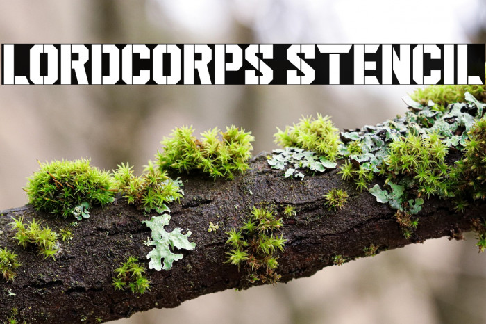 Lordcorps Stencil Example 3