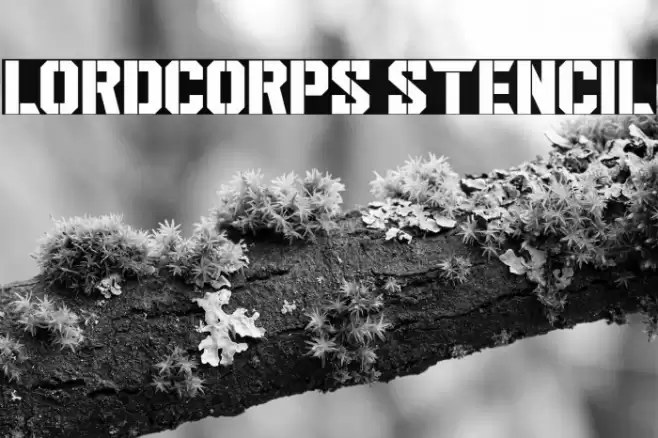 Lordcorps Stencil Font examples
