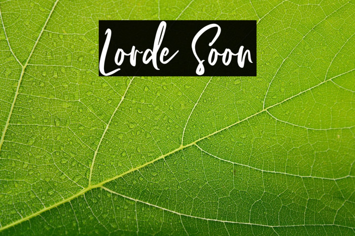 Lorde Soon Example 2