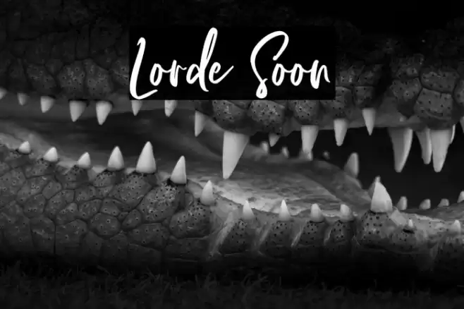 Lorde Soon Font examples
