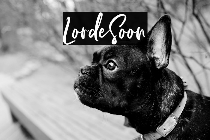 LordeSoon Example 2