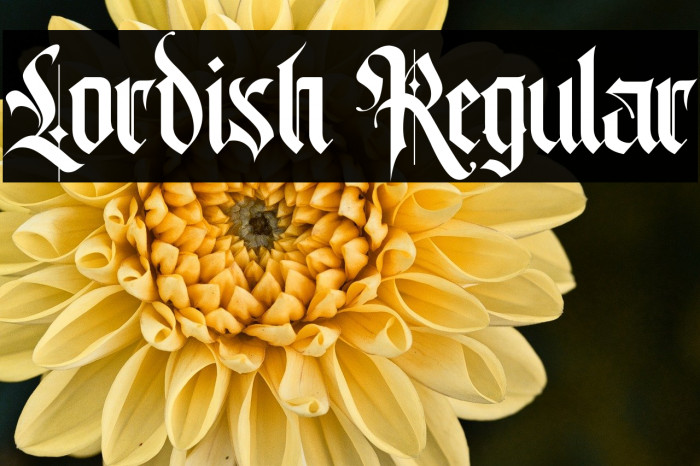 Lordish Regular Example 2