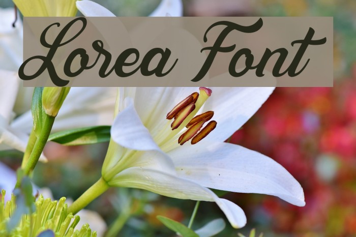 Lorea Font examples