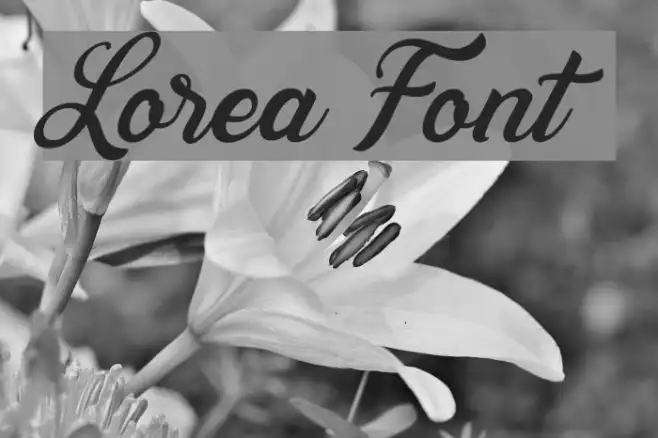 Lorea Example 1