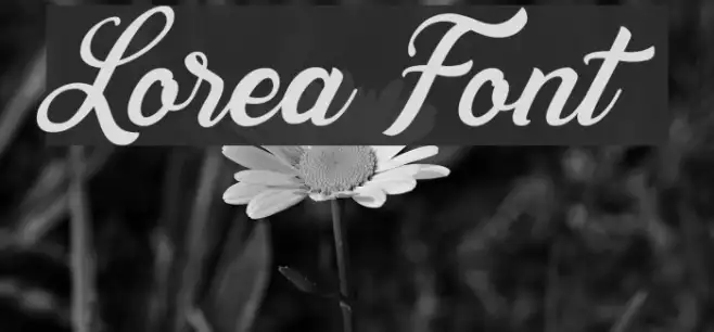 Lorea Example 2