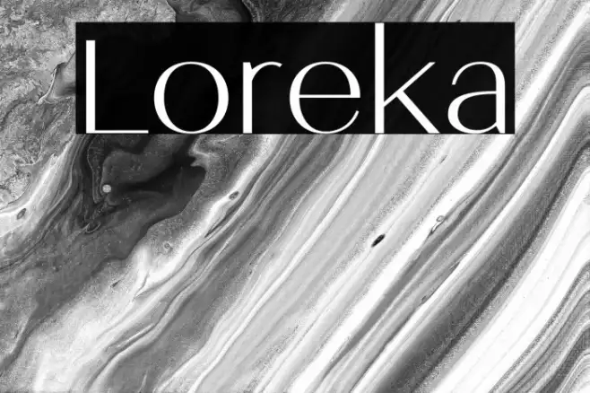 Loreka Example 1