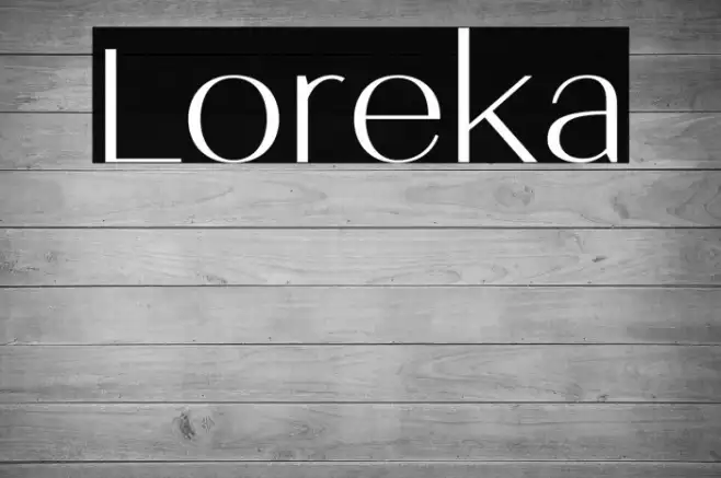 Loreka Example 2