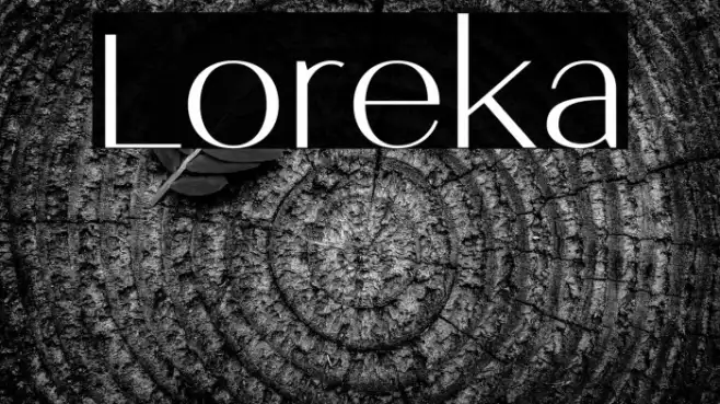 Loreka Example 3