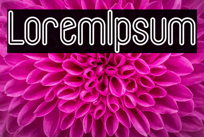 LoremIpsum Example 1