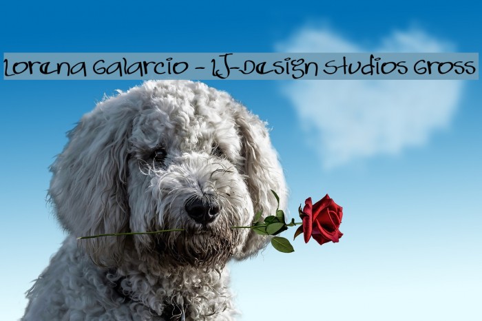 Lorena Galarcio - LJ-Design Studios Gross Font examples