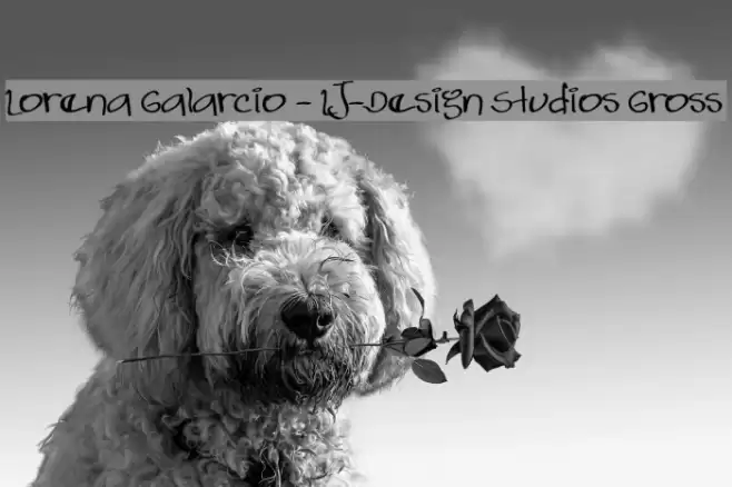 Lorena Galarcio - LJ-Design Studios Gross フォント examples