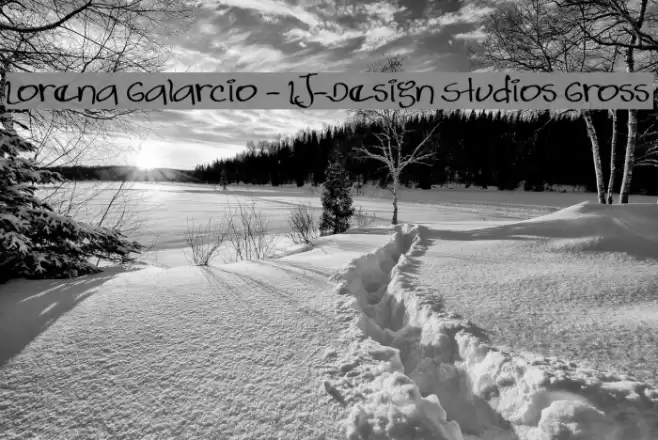 Lorena Galarcio - LJ-Design Studios Gross フォント examples