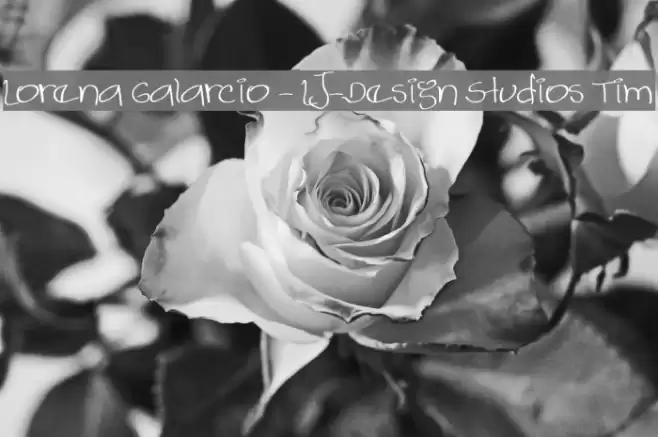 Lorena Galarcio - LJ-Design Studios Tim Font examples