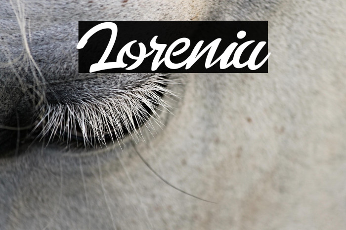Lorenia Example 1