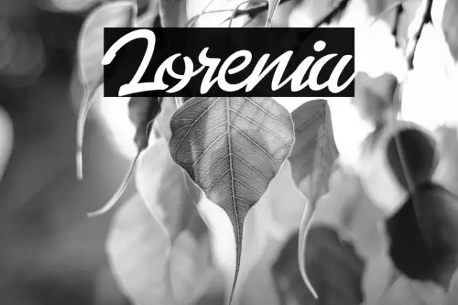 Lorenia Example 2