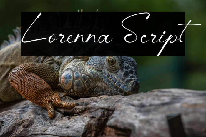 Lorenna Script Example 1