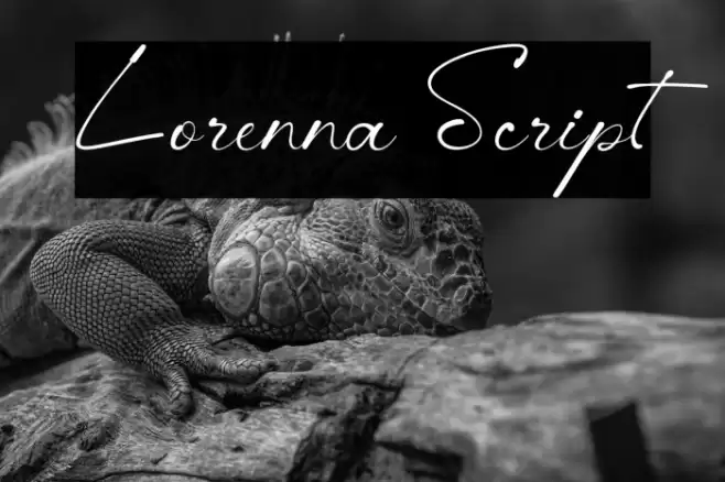 Lorenna Script Fuentes examples