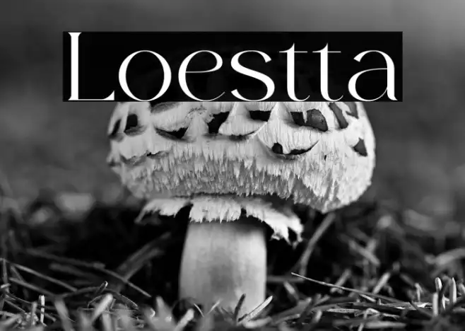 Lorestta Example 3