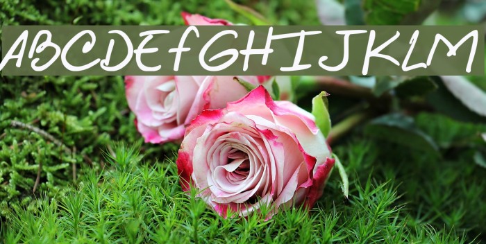 Loretto Grafic Bold Font examples