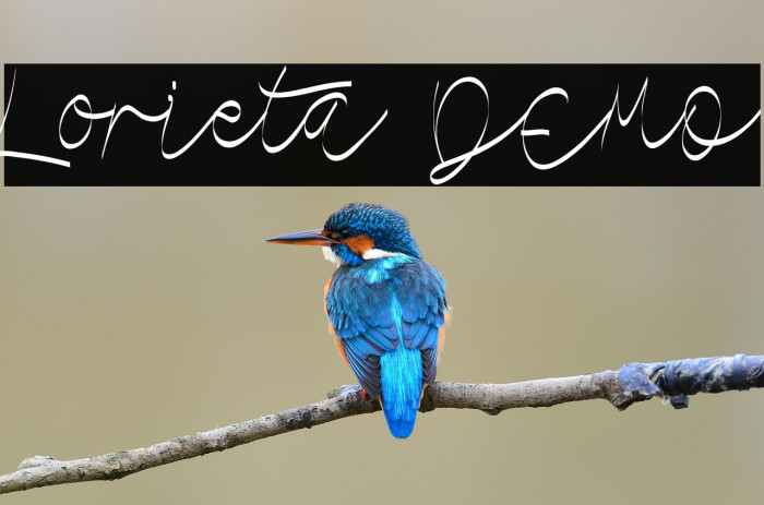 Lorieta DEMO Example 2