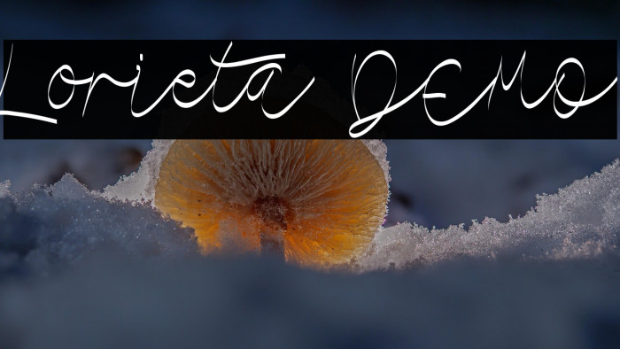 Lorieta DEMO Example 3