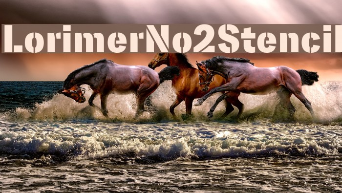 LorimerNo2Stencil Example 2