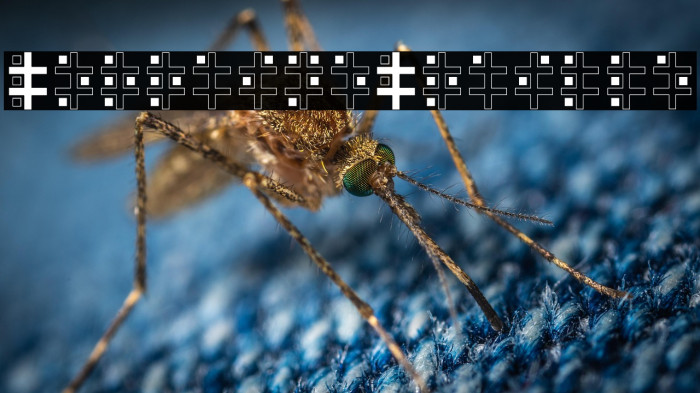 LorraineBraille Example 3