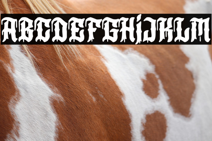 Los Angeles+MMXX Example 2