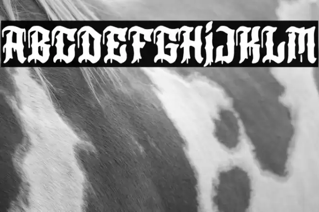 Los Angeles+MMXX Font examples