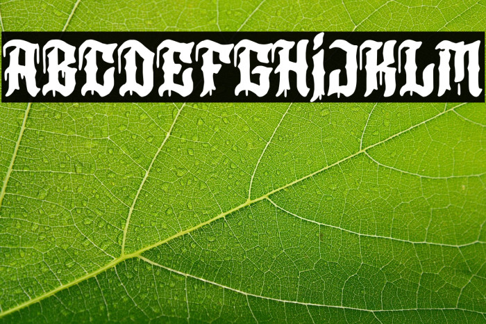 Los Angeles+MMXX Example 3