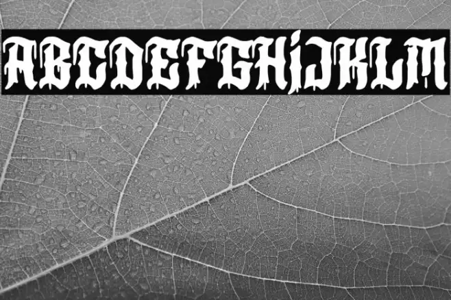 Los Angeles+MMXX Font examples