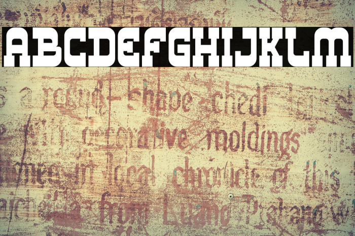 Los Banditos Serif Example 3