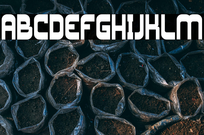 Los Banditos Example 2