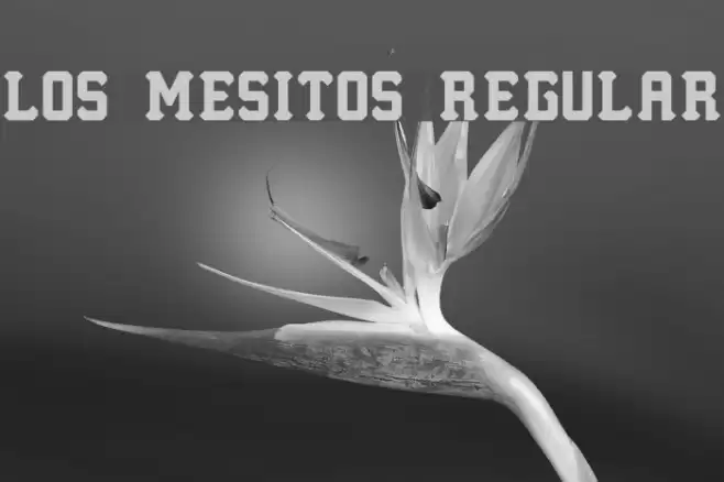 Los Mesitos Regular Font examples